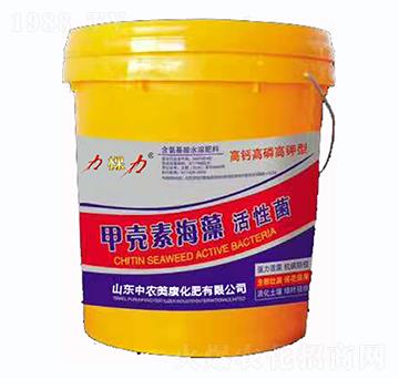 �ך��غ�����Ծ�-���r����