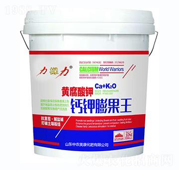 �S������}������-������-���r����