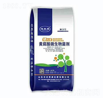 �S����΢�������-������-���r����