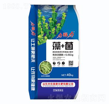 ��+��-������-���r����