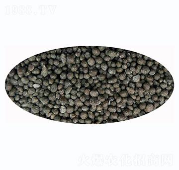 �w����-���r����