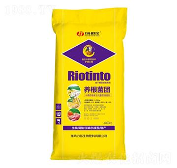 �B(y��ng)��܊�F-��������