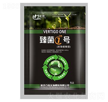 ���1̖-��������