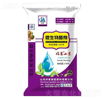 40kg΢�������-�ÿ�