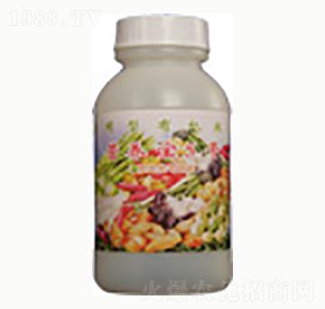 �I�B(y��ng)��5̖-�n����