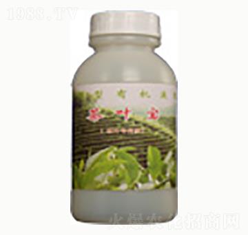 ���~��-�n����