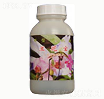 �m����-�n����