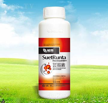 �|̦��-������