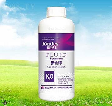 1300���{(l��n)��ʿ�ۺ��-����