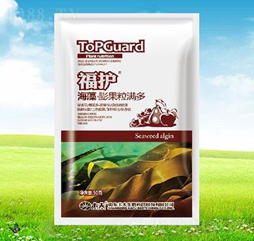 ���o(h��)����������M��-����