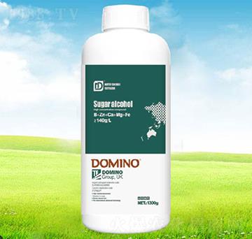 �Ǵ��}�V-�����Z-����