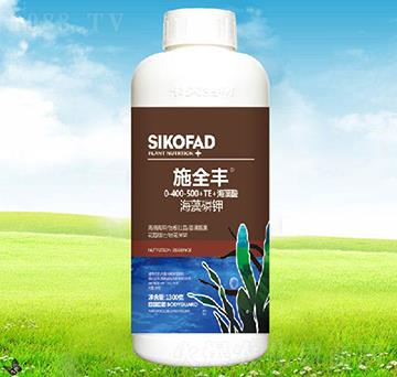 ʩȫ�S�������-����