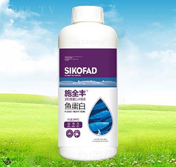 ʩȫ�S�~(y��)����-����