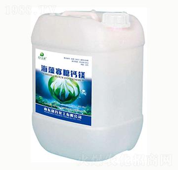 ��������}�V-���ϻ���