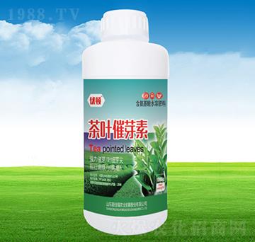 ���~��ѿ��-�μѸ�