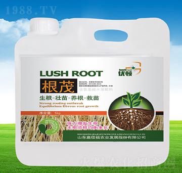 ��ï-��(y��u)�D-�μѸ�