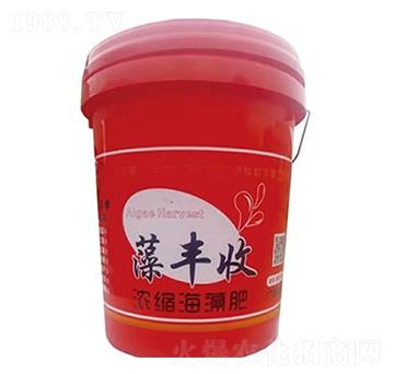 �~����Ý�s�����-���S��-��(qi��ng)����