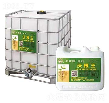 �ָ���-�R��ԣ-��(qi��ng)����