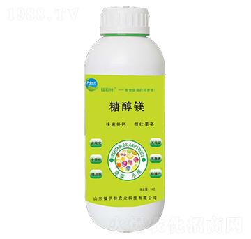 �Ǵ��V-������-������