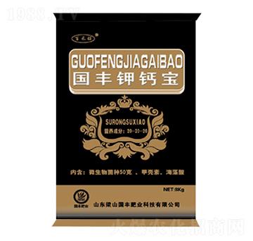 ��(gu��)�S��}�����b-��(gu��)�S�ʘI(y��)