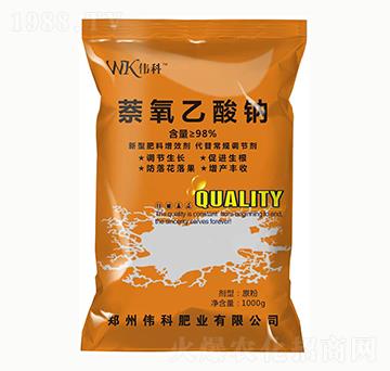 ���������c-���ƷʘI(y��)