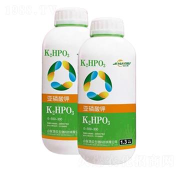 �������-�ؾ�����