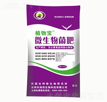 ΢�������-ֲ�-��������