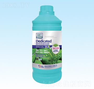 �~���LЧҺ��-�|��Ӣ�Z