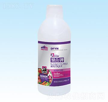 1000g�ۺϡ��-�|��Ӣ�Z