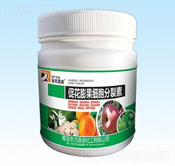 �ٻ��������������-�|��Ӣ�Z