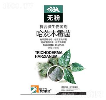 ����ľù��-�o��-�|��Ӣ�Z