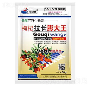 ������L�����-�~����