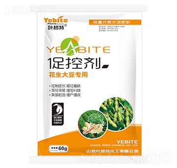 �����󶹌���-�ٿ؄�-�~����