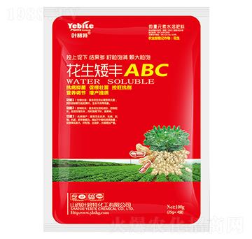 �������SABC-�~����