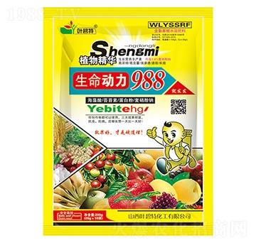 ��������988-�~����