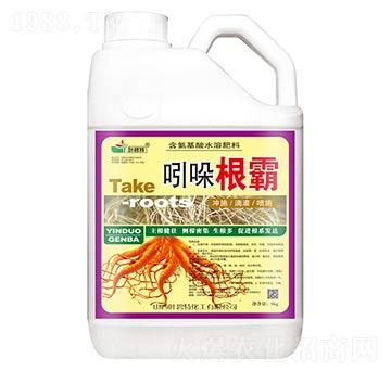 �������-�~����