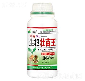 ���Ꮚ������������-�~����