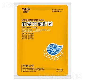 �ݲ�ѿ�ߗU��-�~����