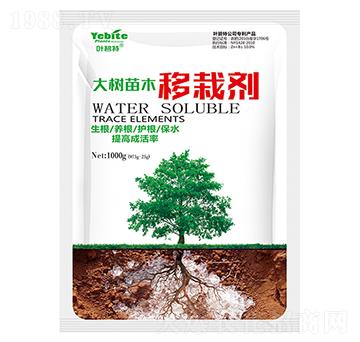 �����ľ���Ԅ�-�~����