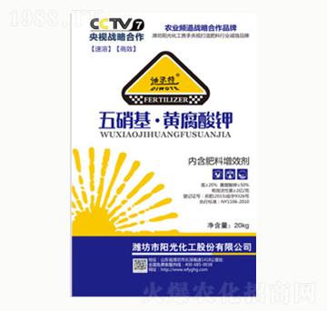 �������S�����-�(y��ng)�⻯��