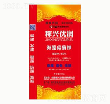 ����̼ø�-���d��(y��u)��(r��n)-�(y��ng)�⻯��