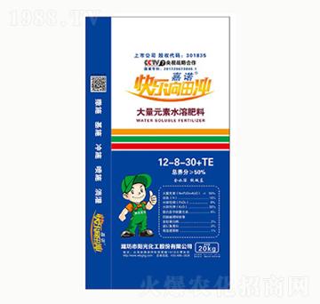 ����Ԫ��ˮ�ܷ�12-8-30+TE-�(y��ng)�⻯��