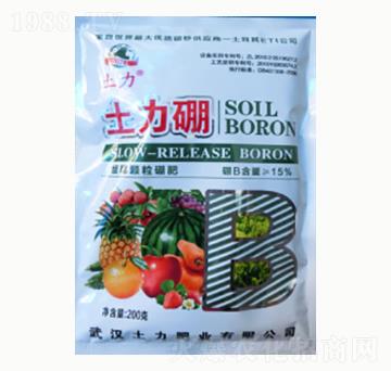 ������-�����ʘI(y��)