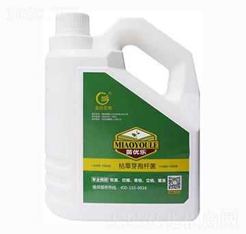 �ݲ�ѿ�ߗU��-�烞(y��u)��-�������