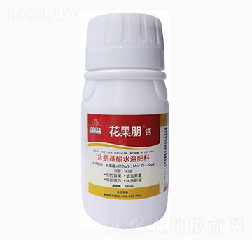 �������Ǵ��}-�������