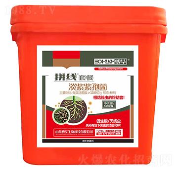 �������߾�-ƴ���ײ�-�n�r(n��ng)