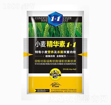 С�����A��1+1-�����_