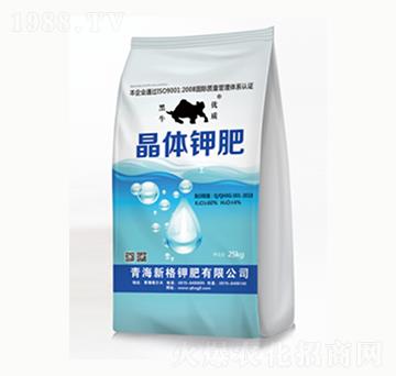 ���w⛷�-�¸�