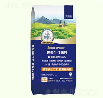 ��ʧ1+1����-������S