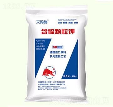 �����w���-����ʩ-������S